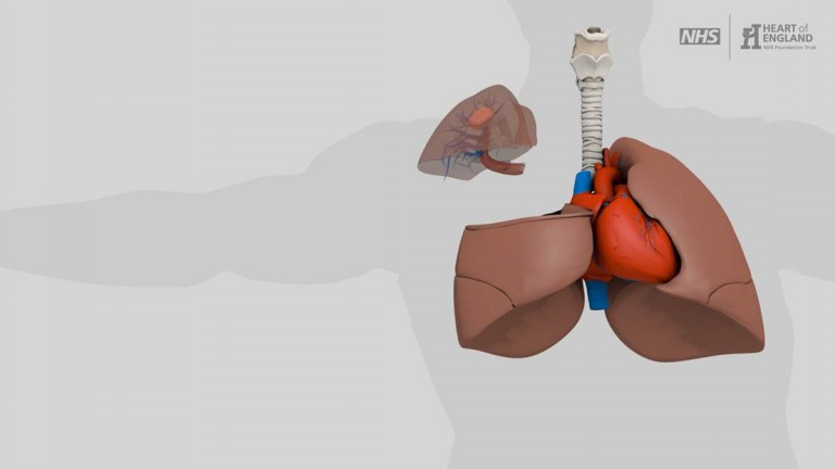 VO2 Max: How To Measure and Improve It visual data 7