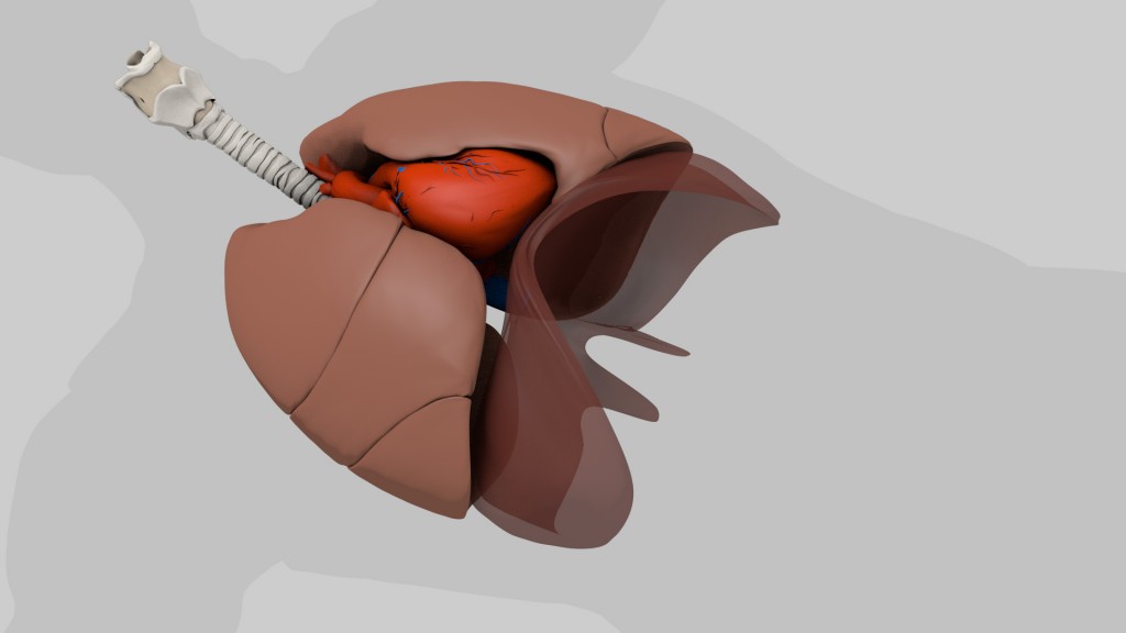 Lung_Biopsy